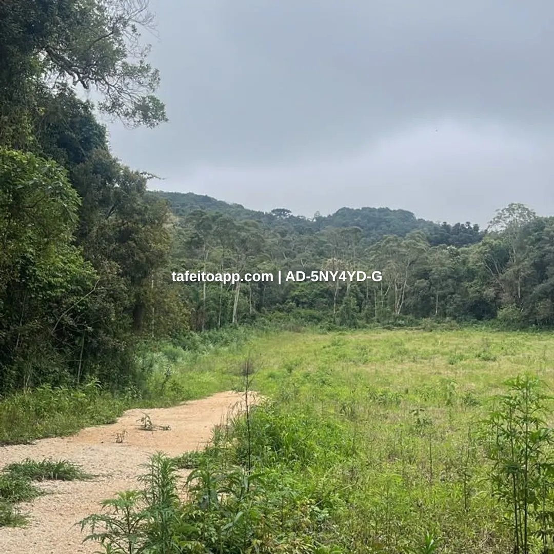 CHÁCARA PARCELADA CURITIBA RMC - R$ 100.000,00 | Tá Feito