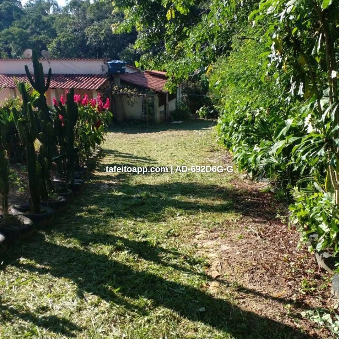 sítio troca ou venda na localidade pedras - R$ 300.000,00 | Tá Feito