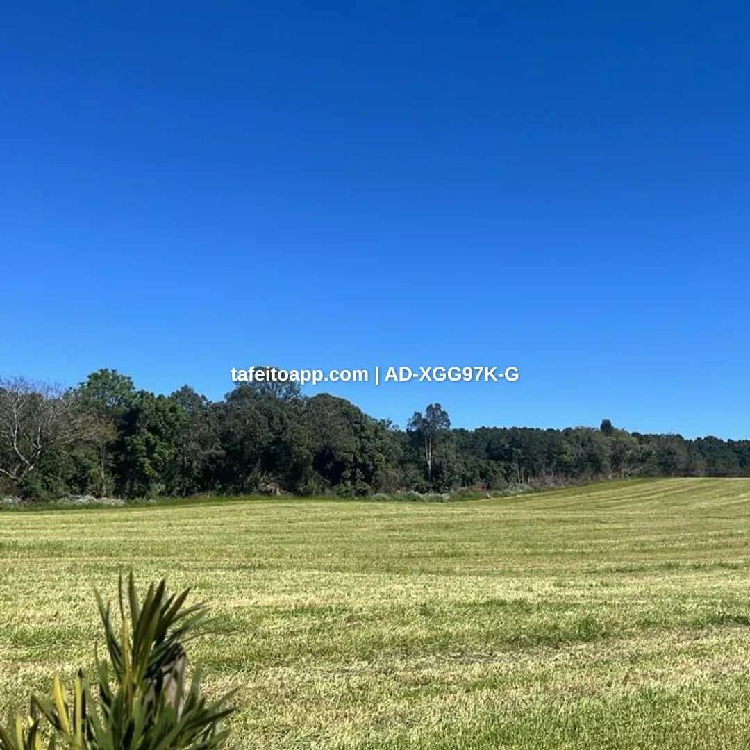 TERRENO DE CHÁCARA PERTO DE CURITIBA - R$ 100.000,00 | Tá Feito